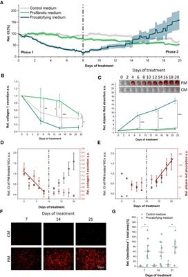 High resolution monitoring of valvular interstitial cell driven pathomechanisms in procalcific environment using label-free impedance spectroscopy